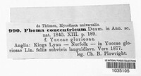 Coniothyrium concentricum image